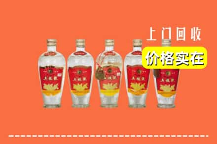 诚信求购:淄博市周村高价回收老五粮液